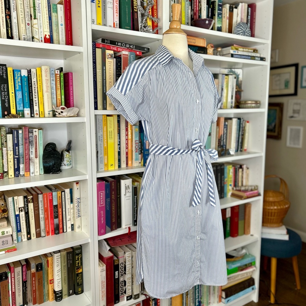 Pendleton Blue and White Striped belted shirt dress - Picture 5 of 8